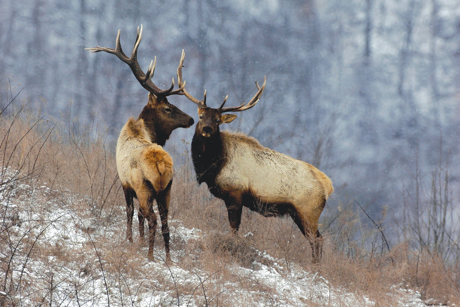 Kentucky s Iconic Attractions and Hidden Gems: Must-See Experiences for Fall Travel