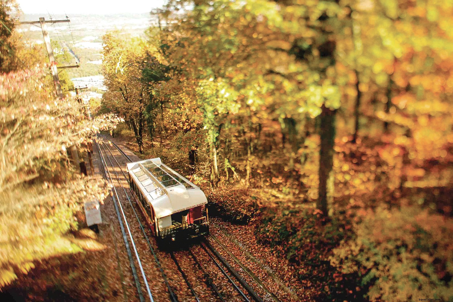 Why Fall is the Perfect Time for an Epic Tennessee Road Trip