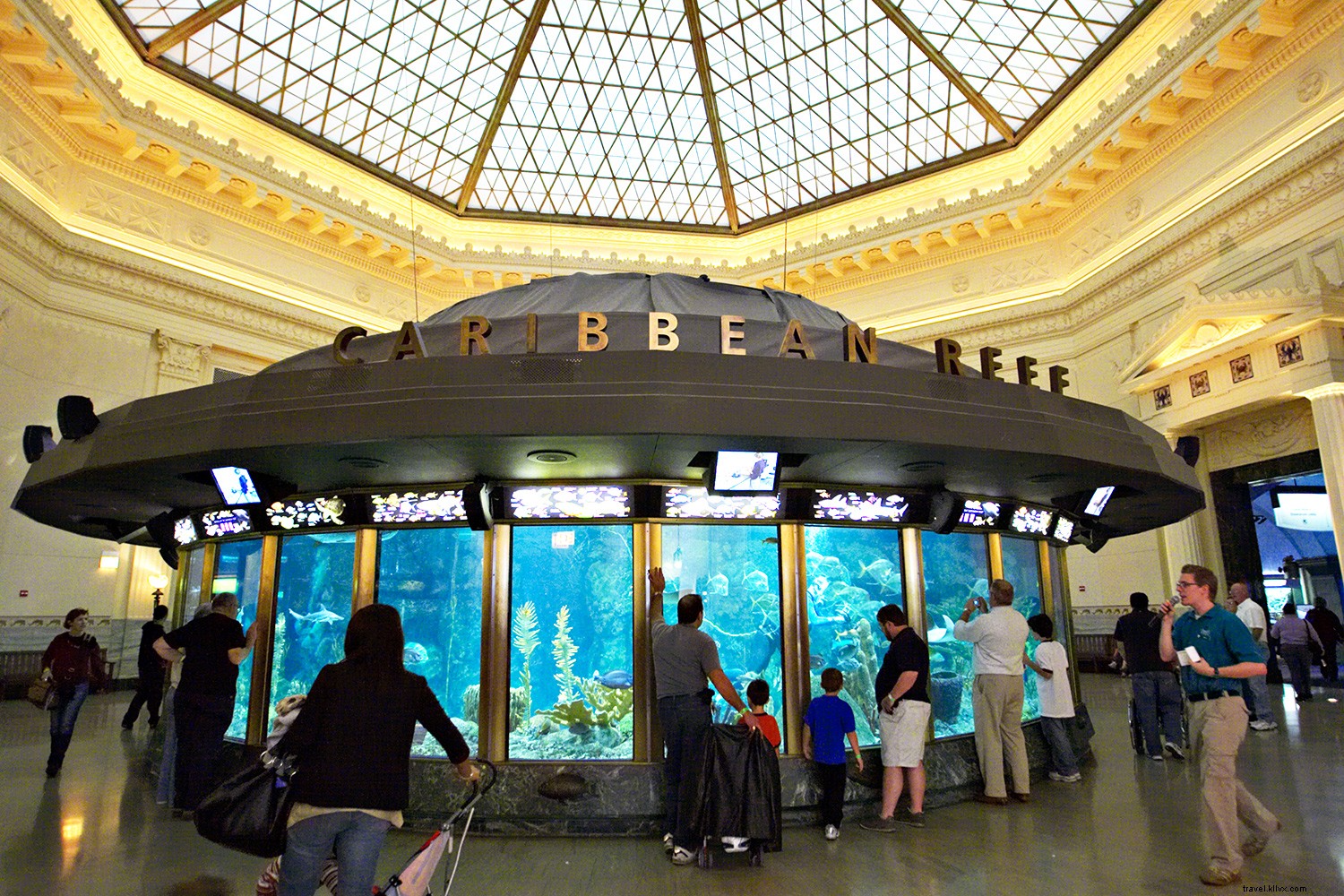 Top 8 Aquariums in the USA: Premier Destinations for Marine Wonders and Wellness