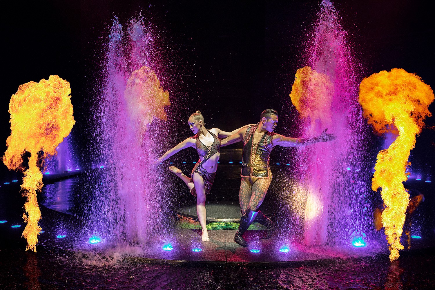 Le Rêve at Wynn Las Vegas: The Ultimate Underwater Dream Show Worth Every Vegas Visit