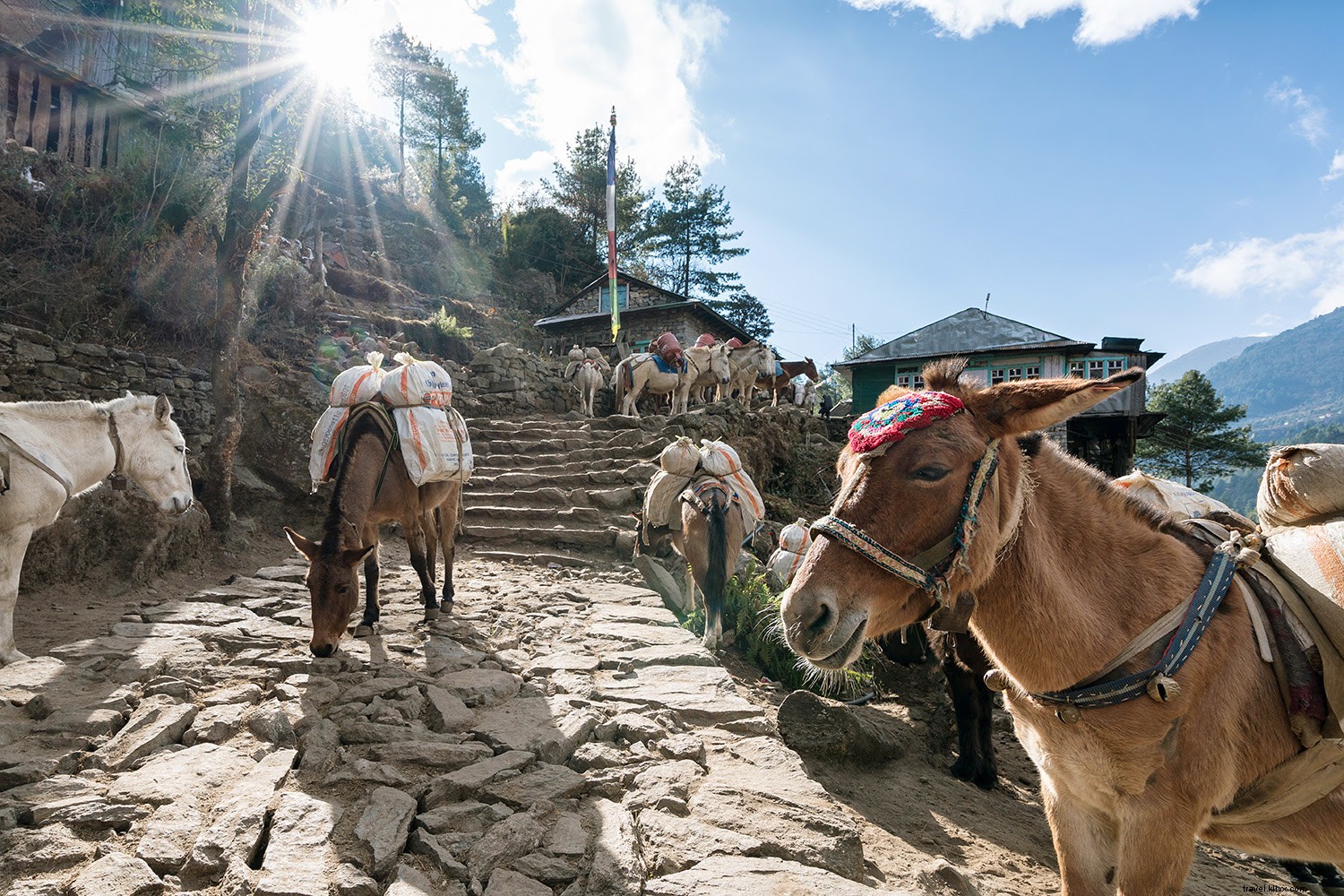 Top 6 Destinations for an Unforgettable August Getaway