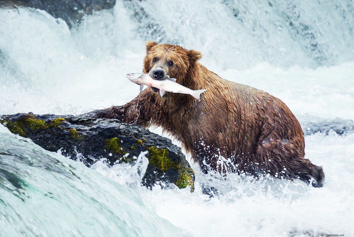 6 Best Places to Visit in July: Wildlife Adventures, Festivals, and Cultural Gems