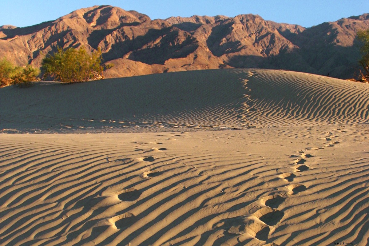 8 Exceptional Nature Escapes to Rejuvenate Your Soul This Year