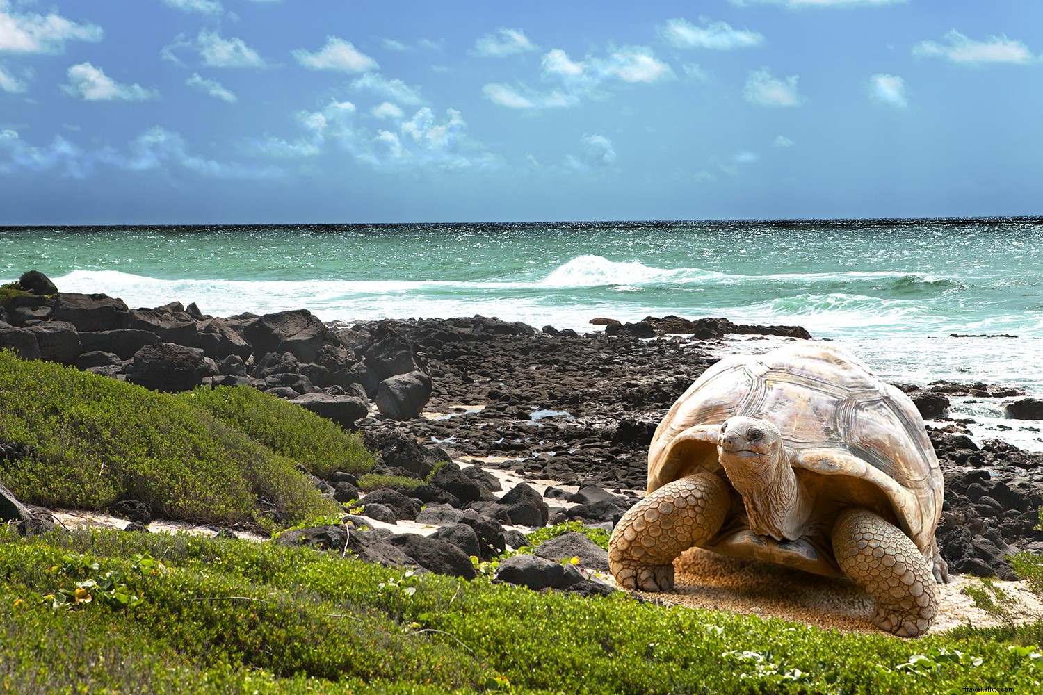 8 Exceptional Nature Escapes to Rejuvenate Your Soul This Year