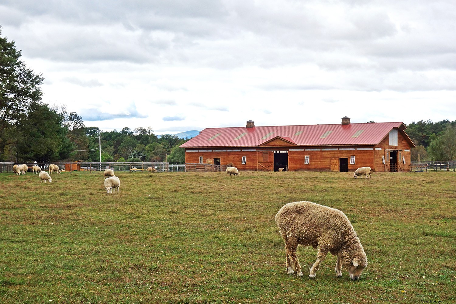 8 Exceptional Nature Escapes to Rejuvenate Your Soul This Year