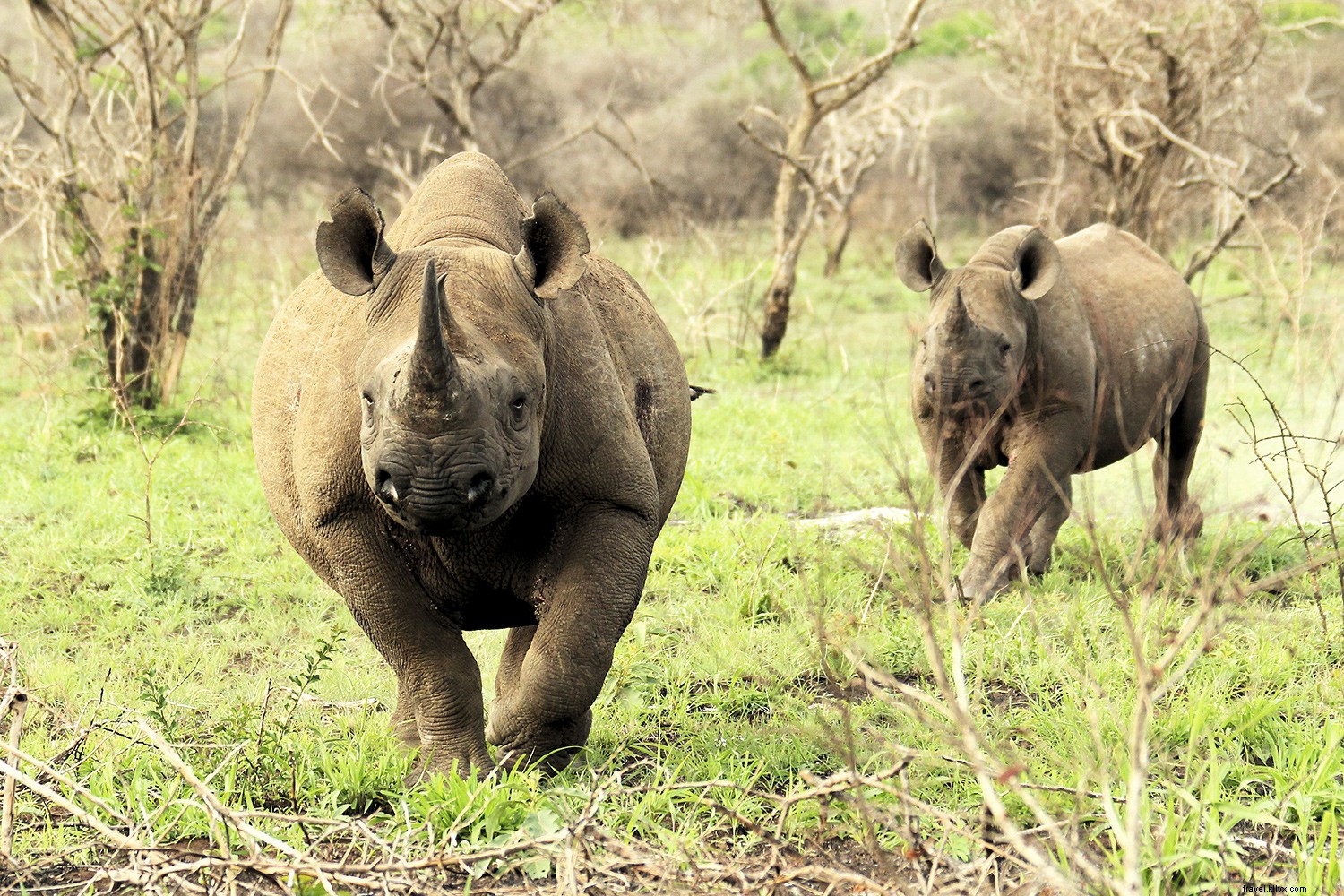 8 Exceptional Nature Escapes to Rejuvenate Your Soul This Year