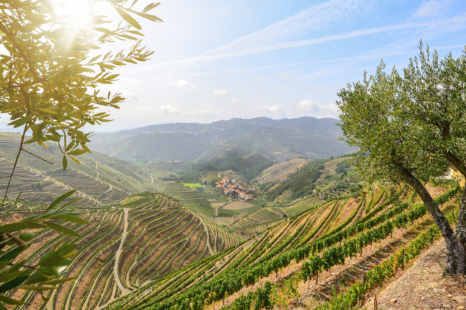 Why Porto, Portugal, is the Ultimate Travel Hotspot: Wine, Culture, and More