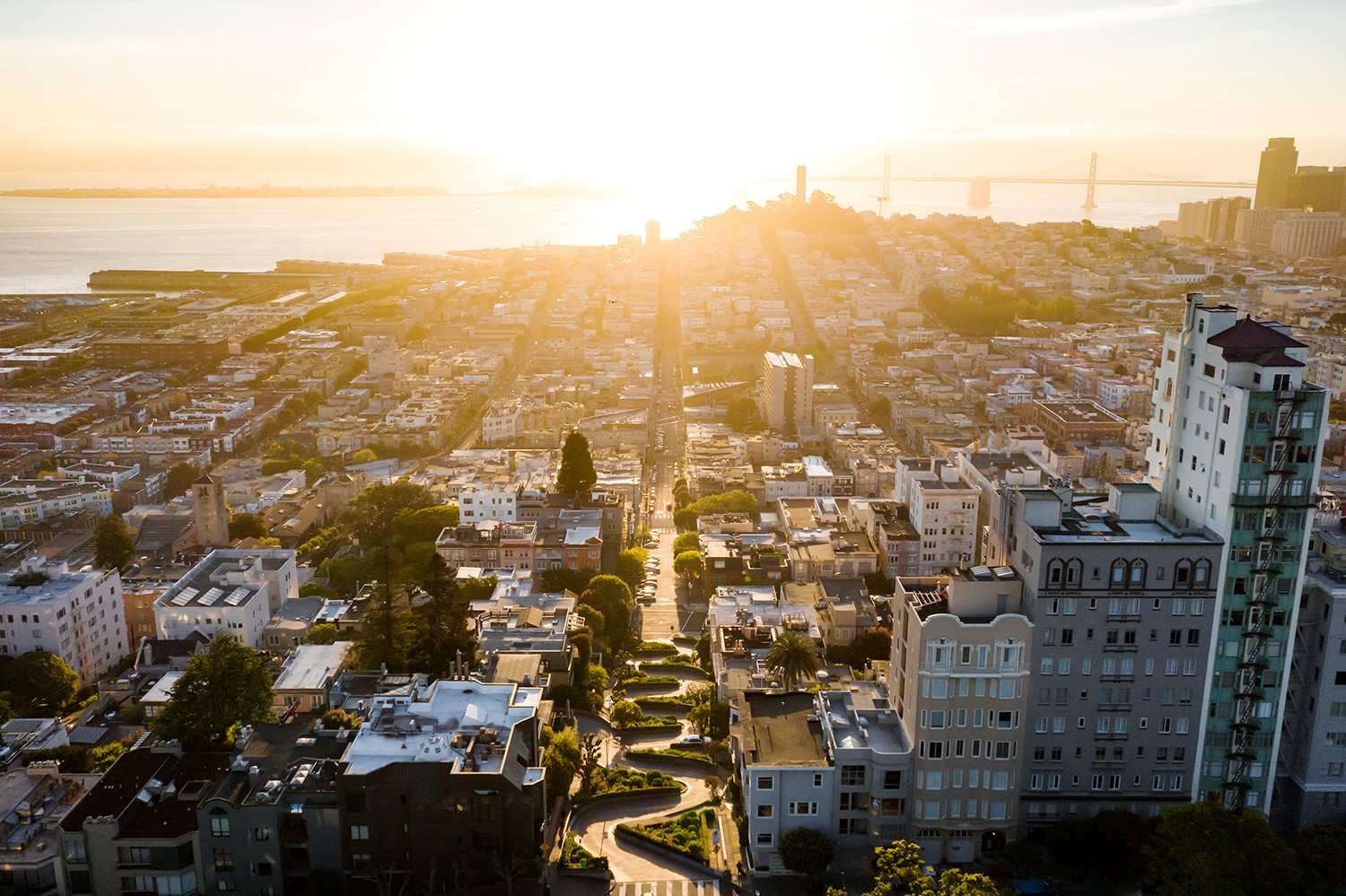 Amtrak Long-Distance Trains: Where the Journey Equals the Destination
