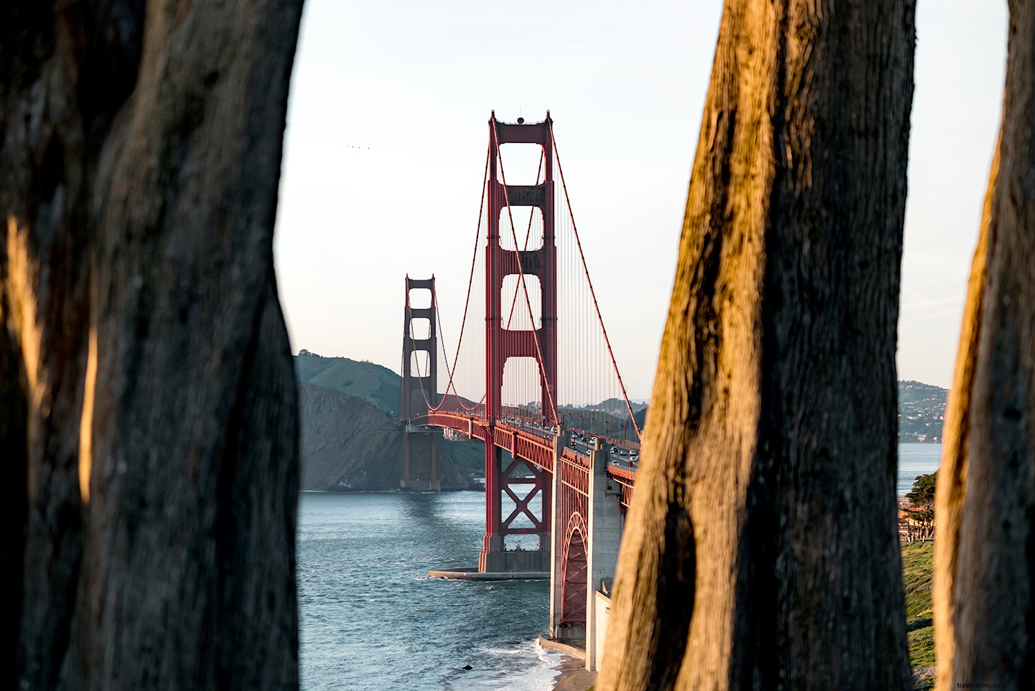 Amtrak Long-Distance Trains: Where the Journey Equals the Destination