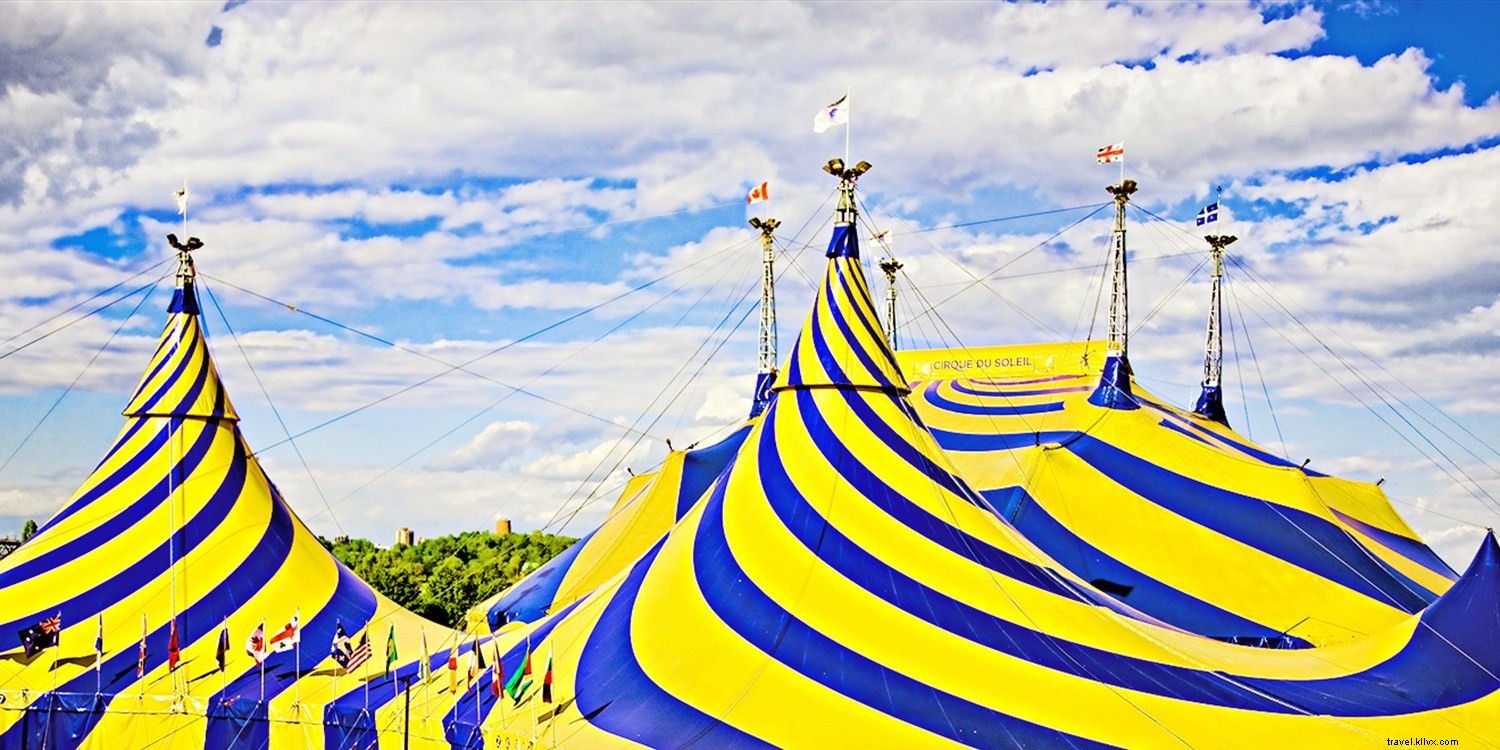 Guide to the Best Cirque du Soleil Touring Shows: Find Your Perfect Match