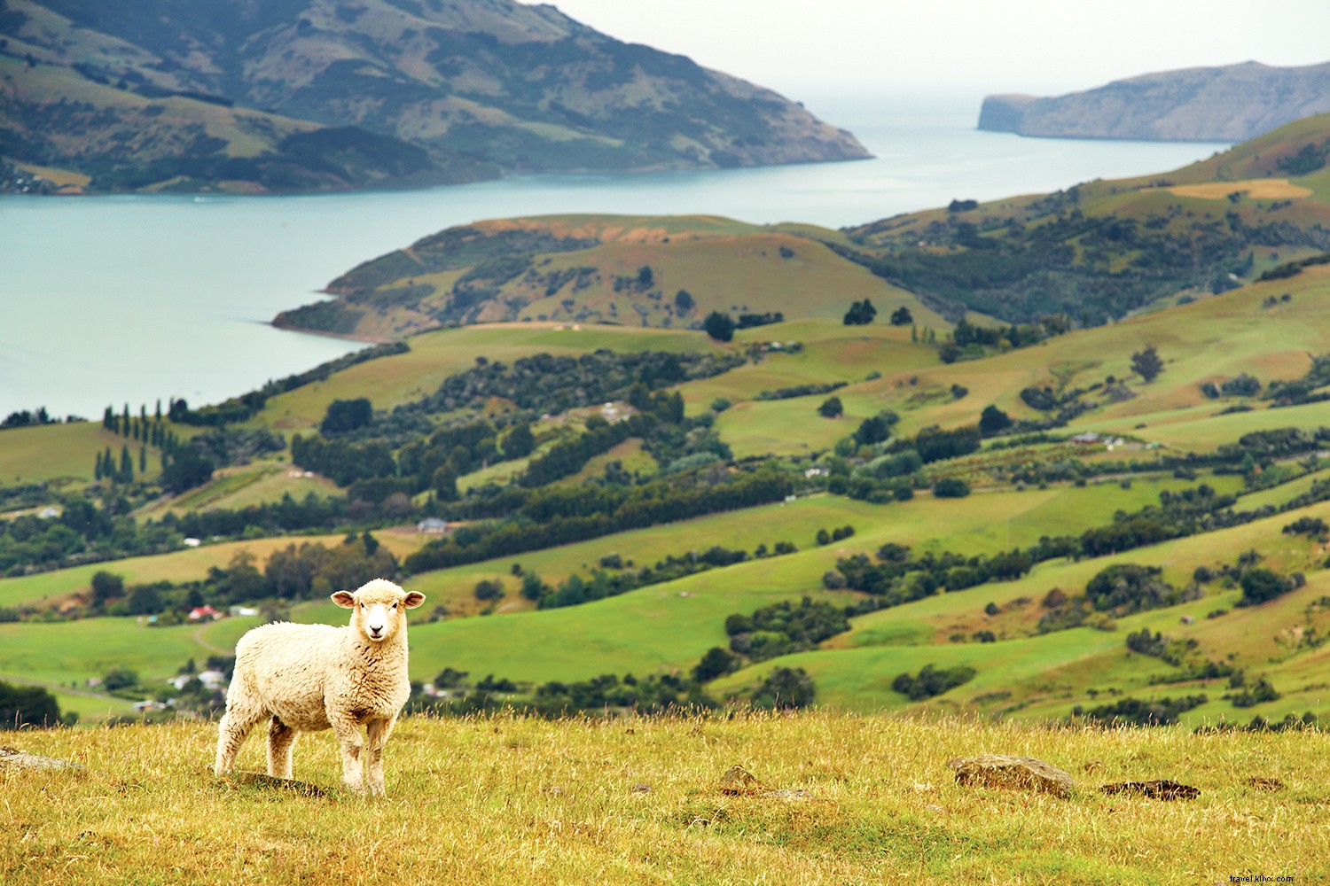 Luxury Australia Cruises: Explore Down Under, New Zealand, Papua New Guinea & Bali with Regent Seven Seas