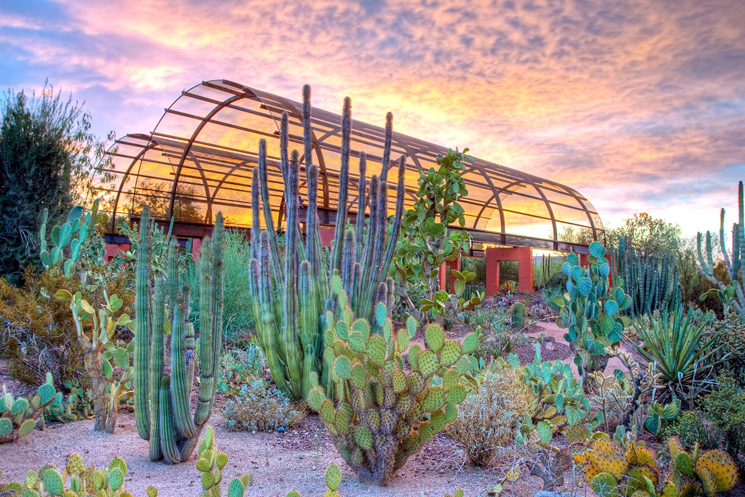 Why Phoenix is the Perfect Summer Destination: Unbeatable Deals and Adventures