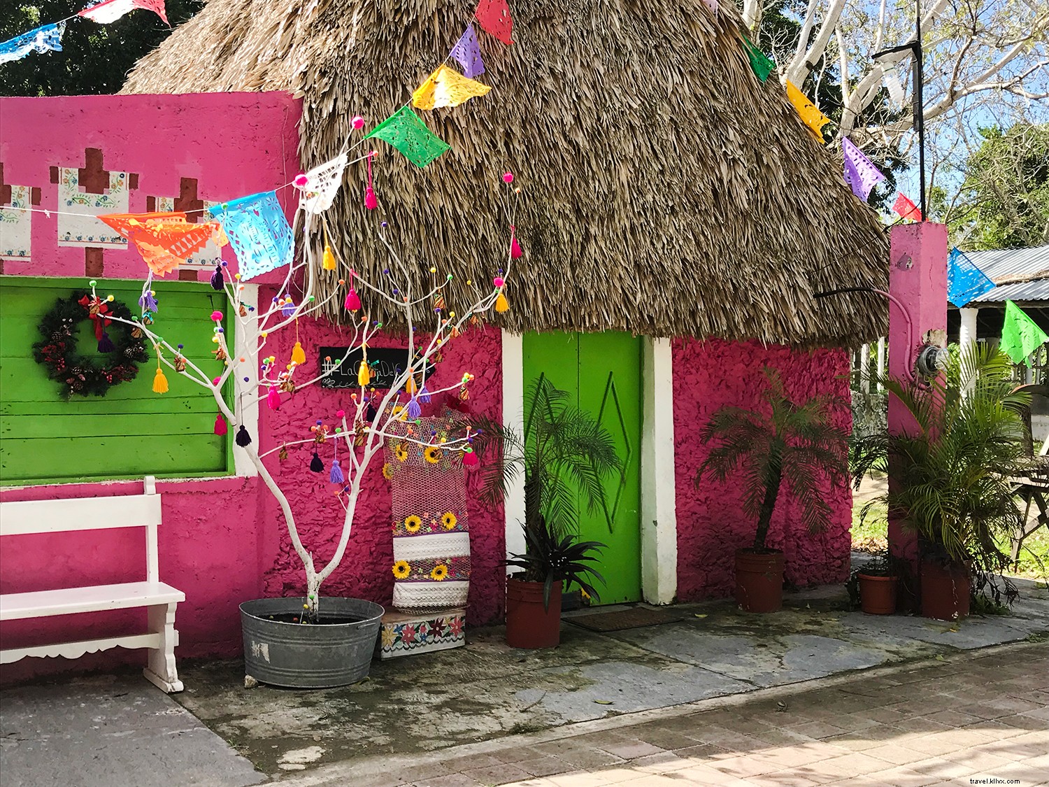 Discover the Caribbean s Hidden Local Gems: Martha Stewart & MSC Cruises Excursions