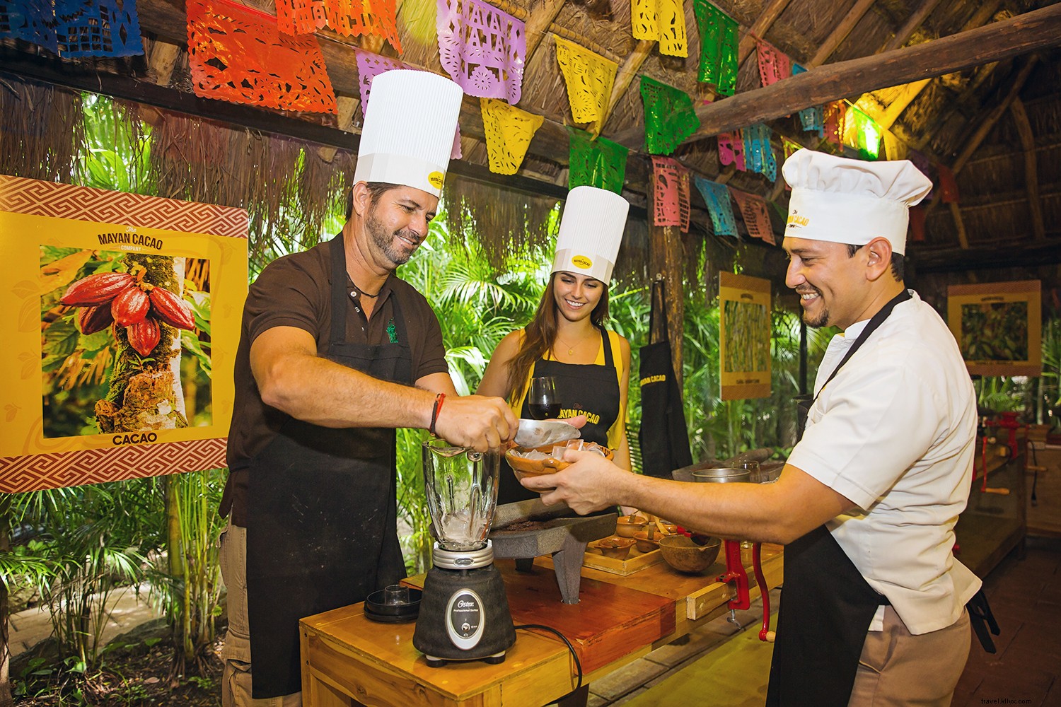 Discover the Caribbean s Hidden Local Gems: Martha Stewart & MSC Cruises Excursions