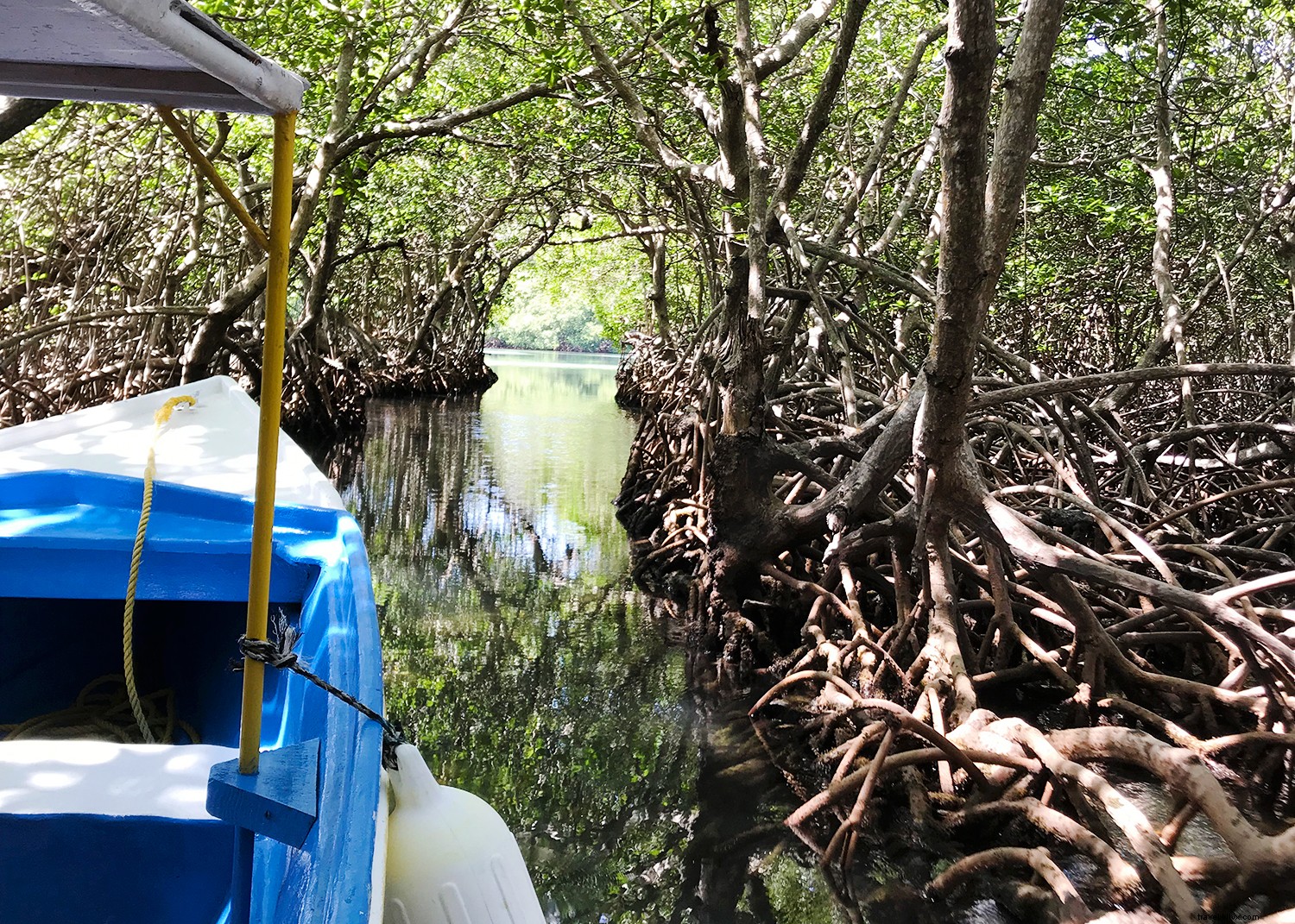 Discover the Caribbean s Hidden Local Gems: Martha Stewart & MSC Cruises Excursions