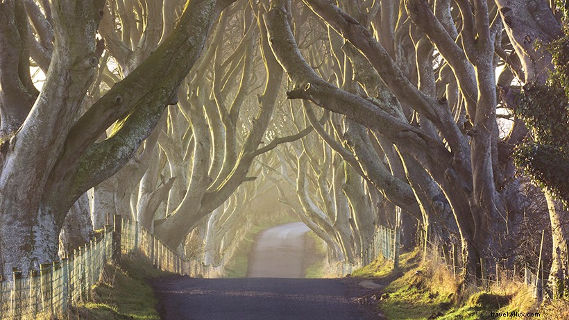 25 Iconic Game of Thrones Filming Locations You Can Visit Today