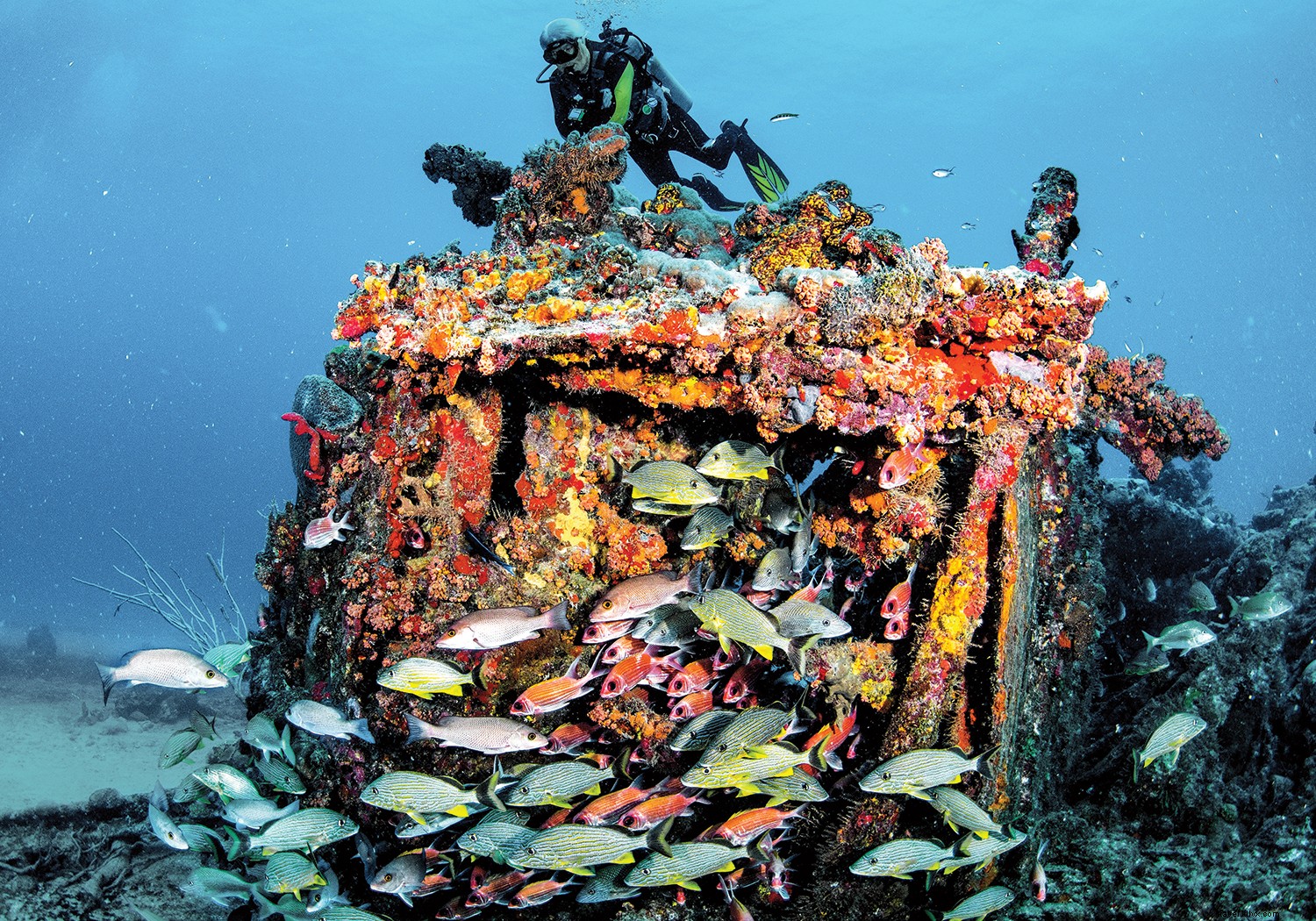 Why Visit the British Virgin Islands Now: Luxe Resorts, World-Class Sailing & Epic Adventures