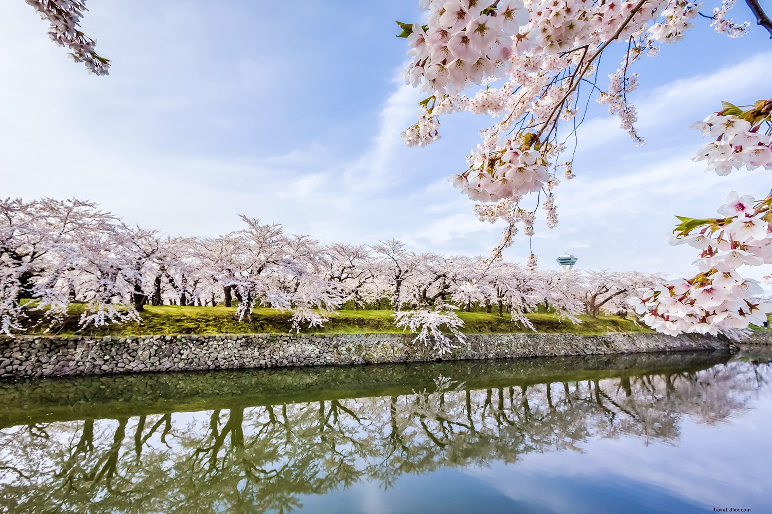 10 Best Places to See Cherry Blossoms Around the World