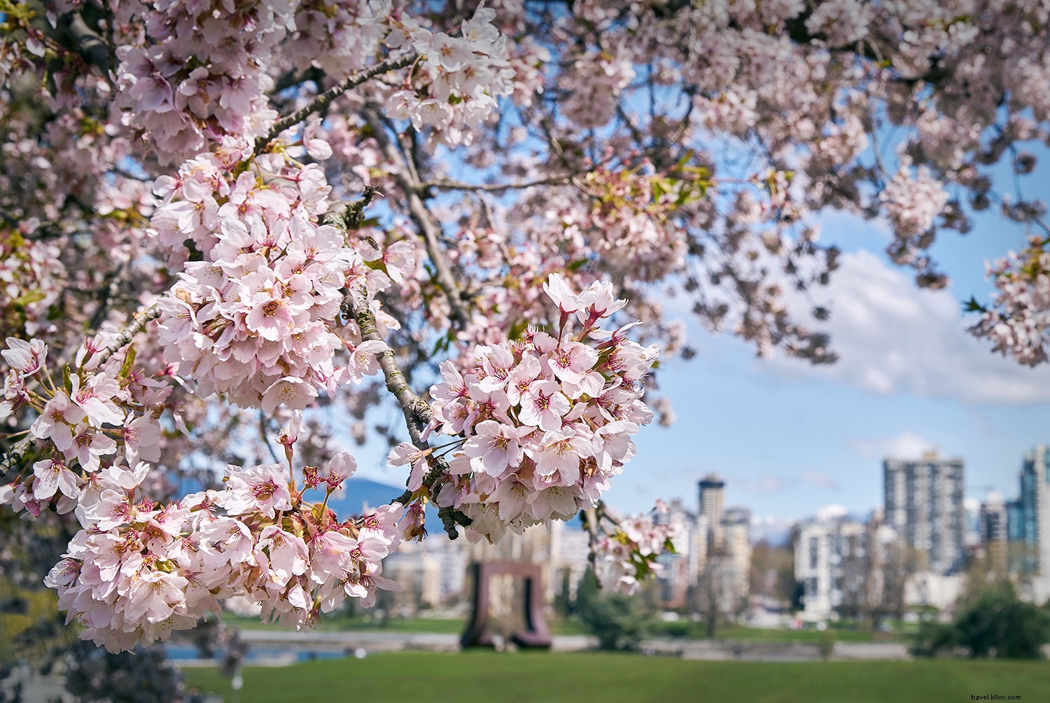 10 Best Places to See Cherry Blossoms Around the World