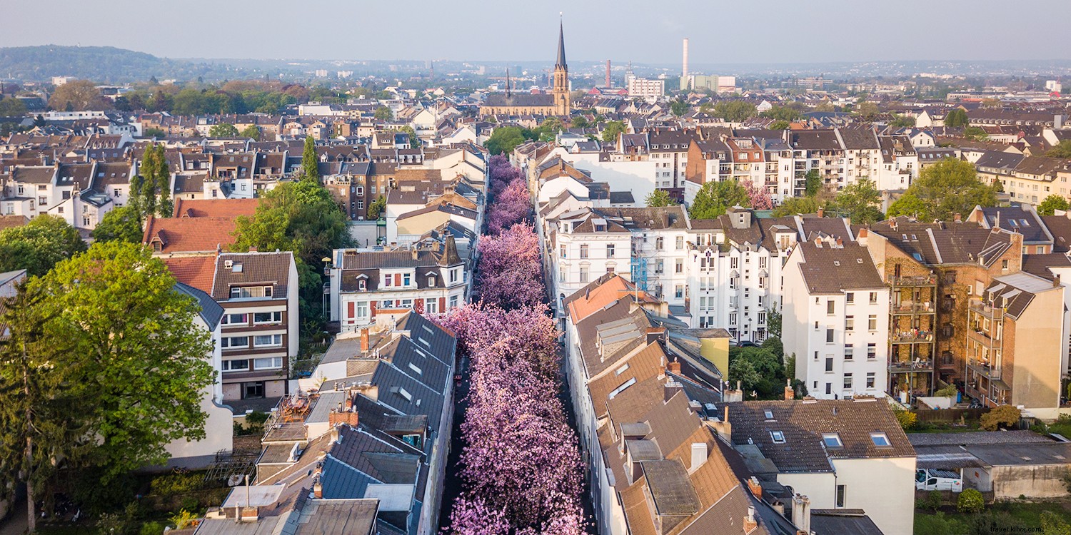 10 Best Places to See Cherry Blossoms Around the World
