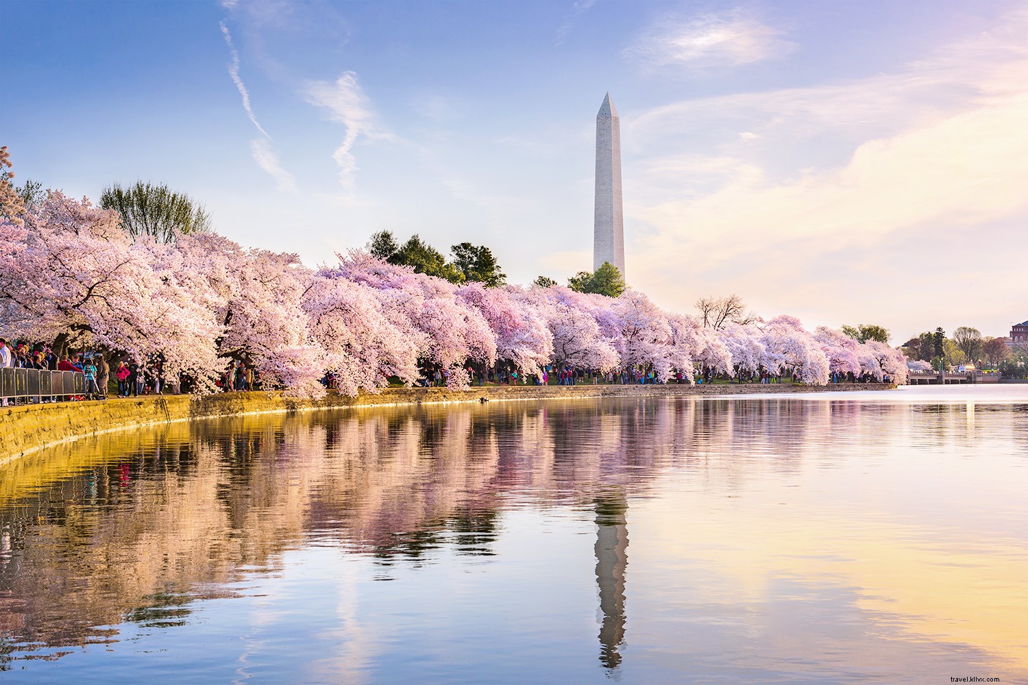 10 Best Places to See Cherry Blossoms Around the World