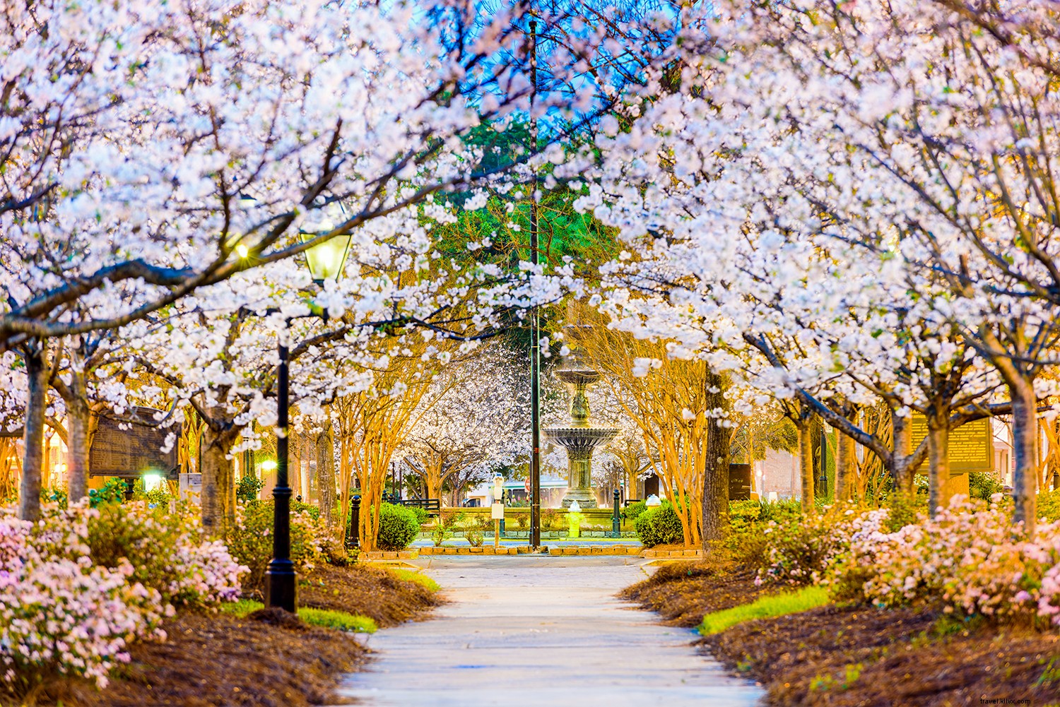 10 Best Places to See Cherry Blossoms Around the World