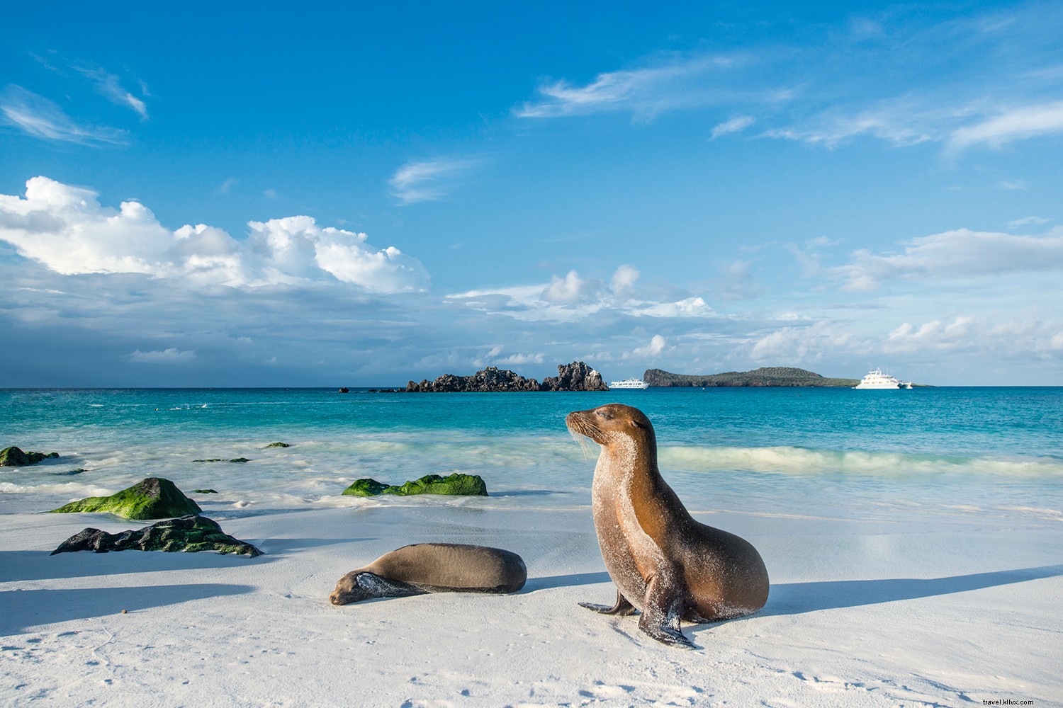 10 Bucket-List Trips of a Lifetime: Unforgettable Adventures Worldwide