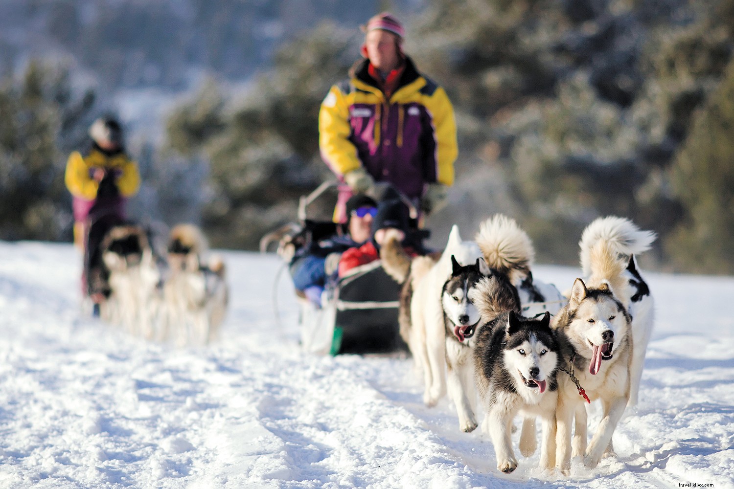 Unlock Alaska s Hidden Gems: The Ultimate Luxury Cruise Guide with Regent Seven Seas