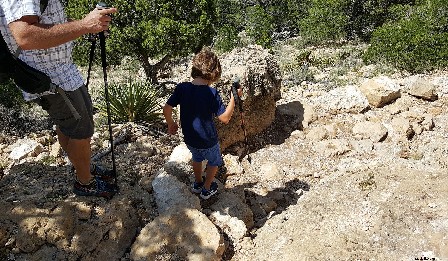 Family Adventure on Hermit Trail: A Guided Hike into the Grand Canyon
