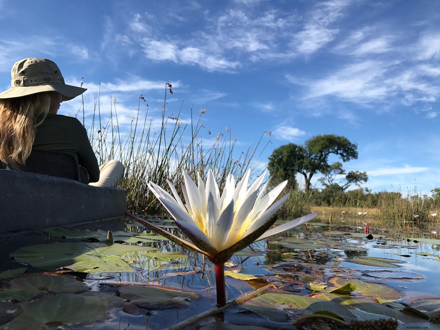 Top Wellness Retreats of 2019: Premier Destinations for Ultimate Rejuvenation