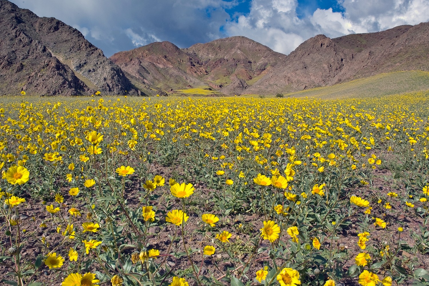 Top 6 Must-Visit Destinations for February Travel: Winter Thrills to Sunny Escapes