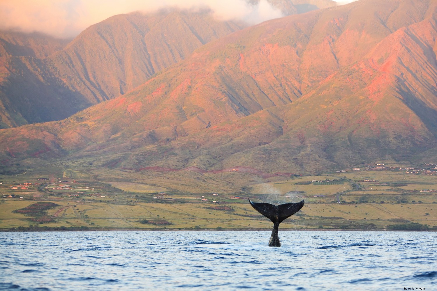 6 Compelling Reasons to Visit Hawaii s Big Island This Season