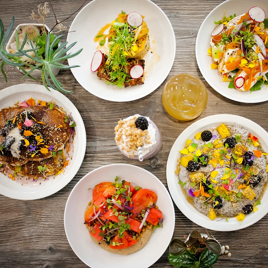 10 Timeless Reasons Savannah s Southern Charm Keeps Drawing Visitors Back