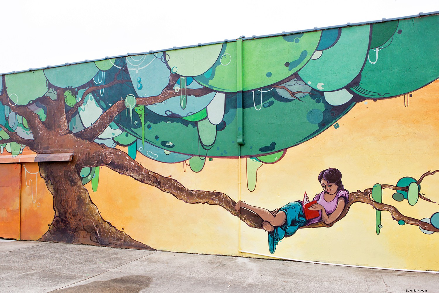 10 Timeless Reasons Savannah s Southern Charm Keeps Drawing Visitors Back