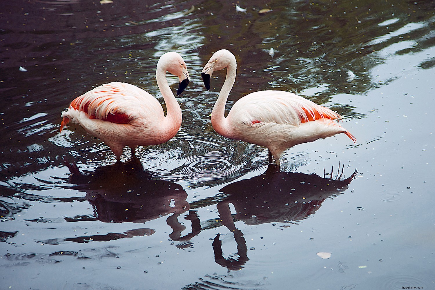 Arizona Spring Training Guide: Top 10 Activities Beyond the Ballpark for Baseball Fans
