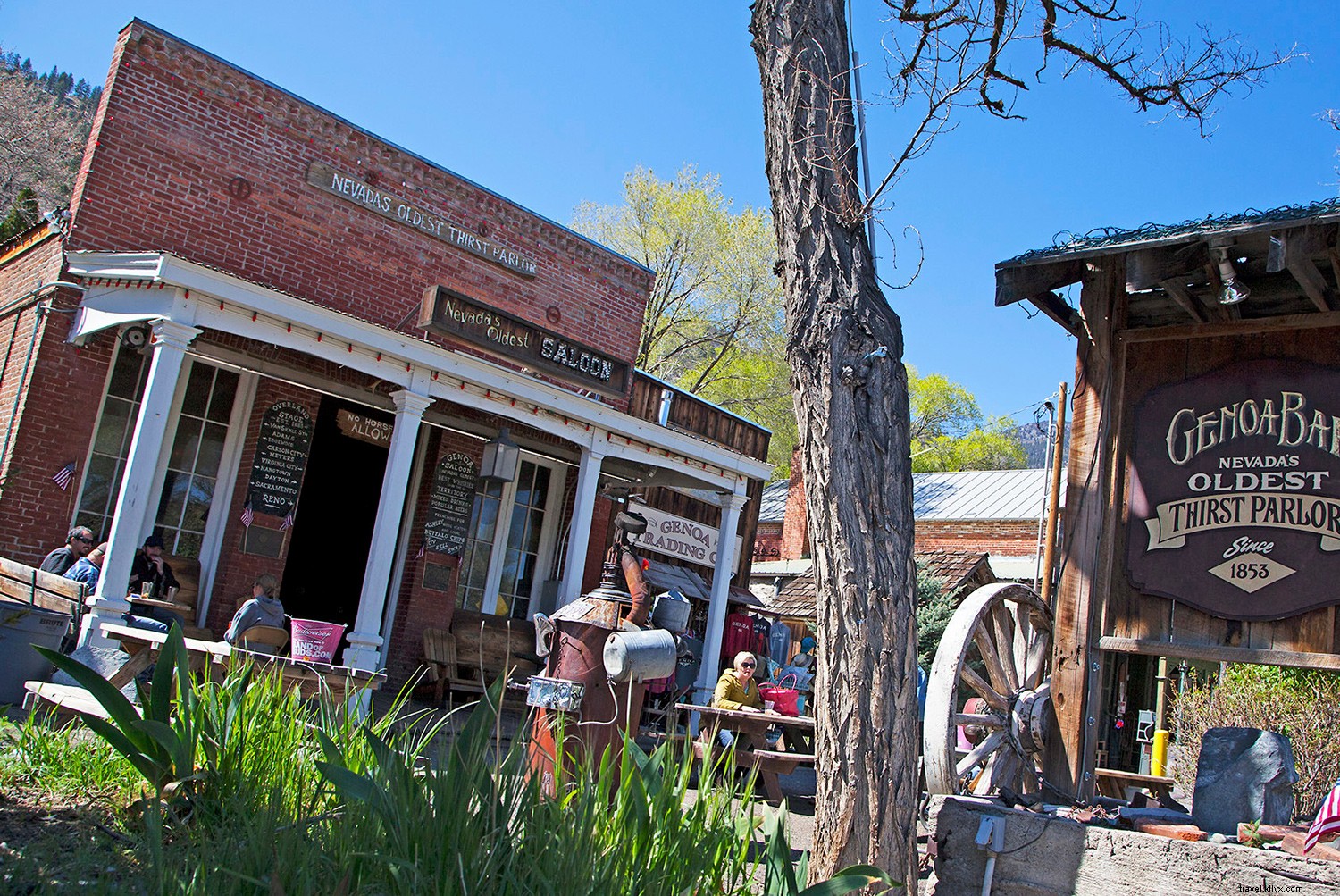Epic Nevada Road Trips: Desert Art, Ruby Mountains, and Lake Tahoe Adventures