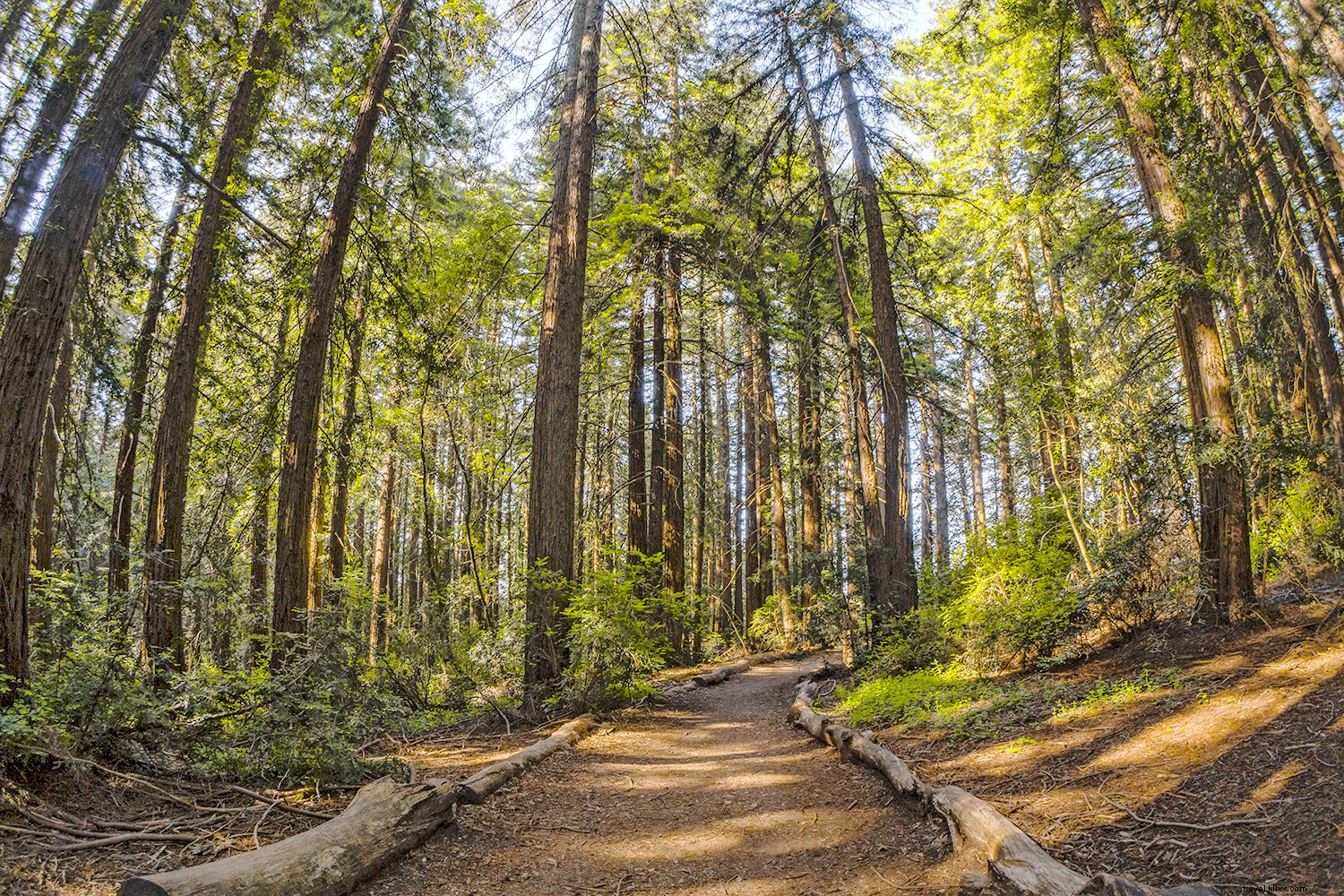 Why Oakland Captivates: 5 Must-See Reasons from Travel Experts