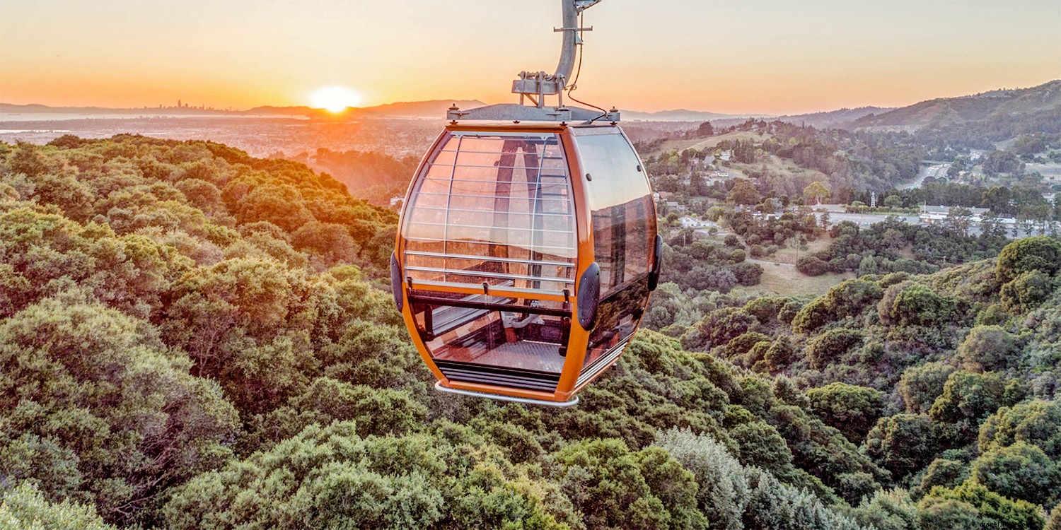 Why Oakland Captivates: 5 Must-See Reasons from Travel Experts