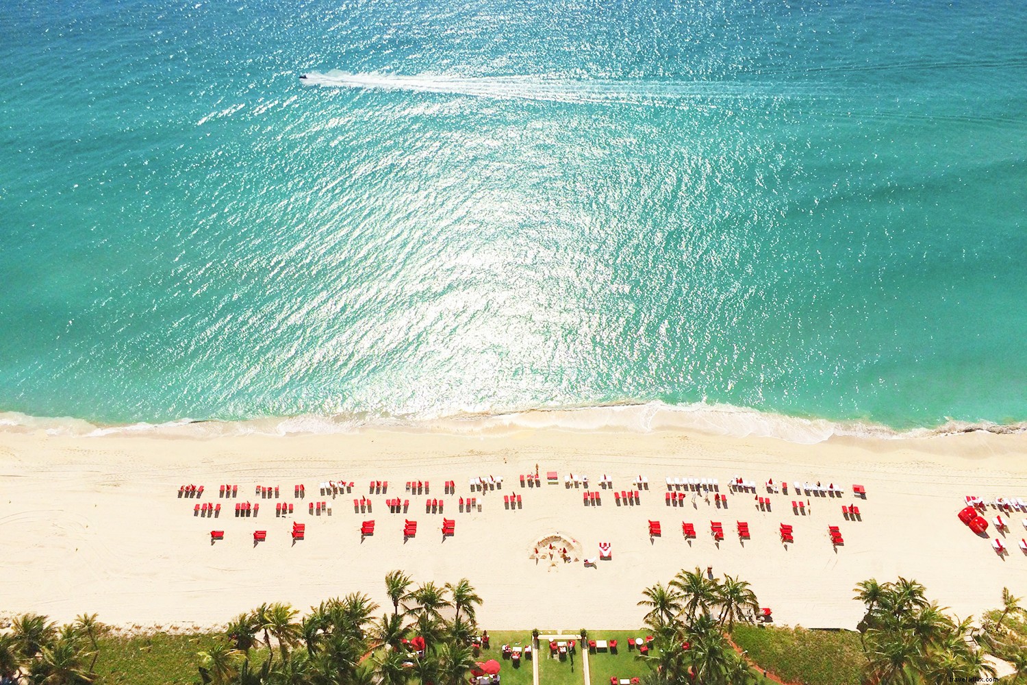 Miami s Top Winter Neighborhoods: Insider Guide to Art, Food, Beaches & Culture