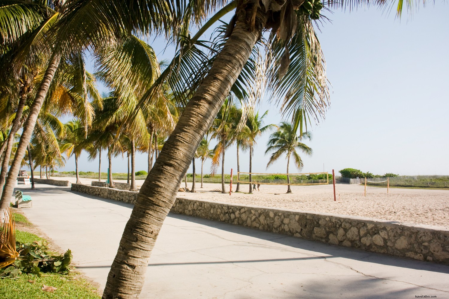 Miami s Top Winter Neighborhoods: Insider Guide to Art, Food, Beaches & Culture