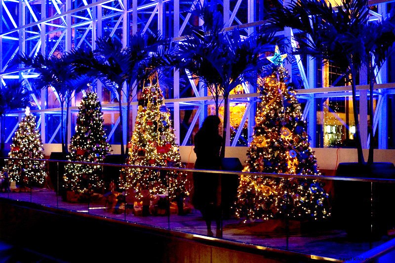 Romantic Winter Getaway in Greenville, SC: A Couple s Guide to Southern Charm