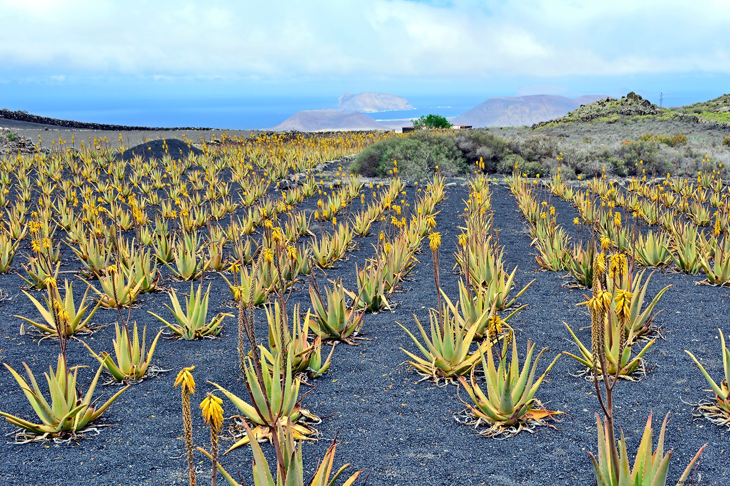 Indulgent Wellness at Sea: Top Mediterranean Experiences on Regent Seven Seas Cruises