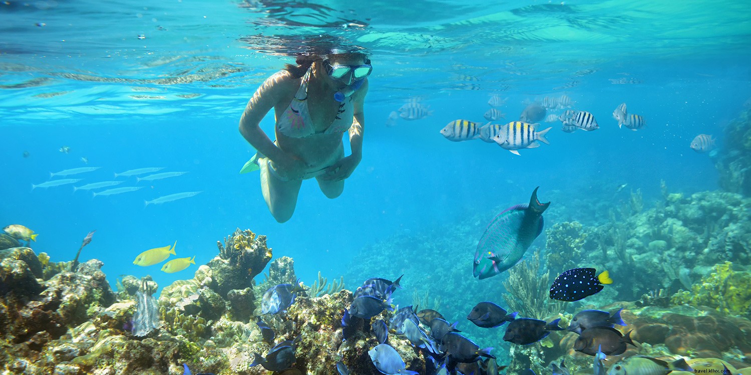 6 Immersive Ways to Capture Caribbean Rhythms on Princess Cruises