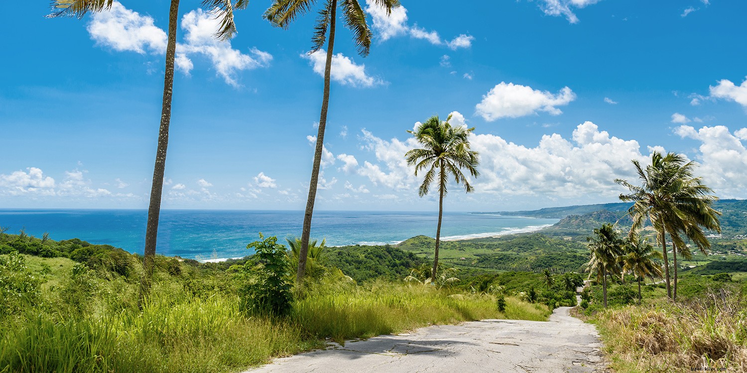 6 Immersive Ways to Capture Caribbean Rhythms on Princess Cruises