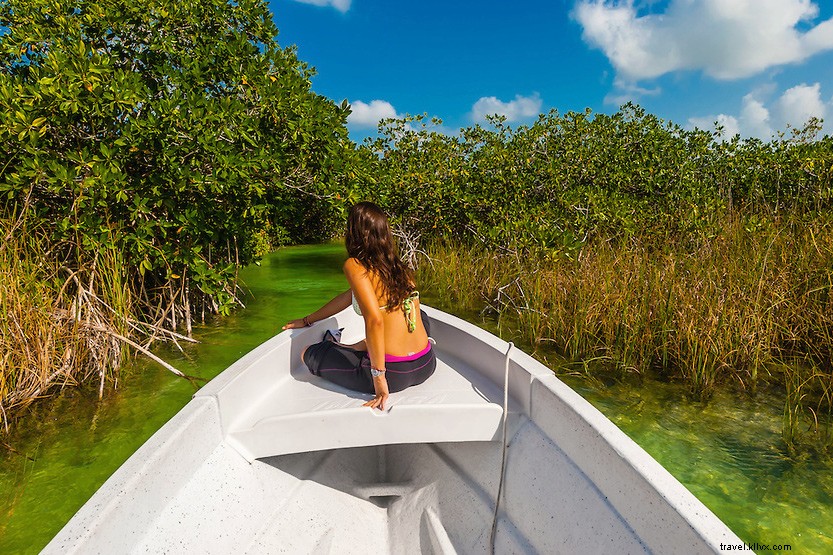 Riviera Maya Treasure Map: Discover Hidden Caves, Cenotes, and Mayan Ruins Beyond the Beaches