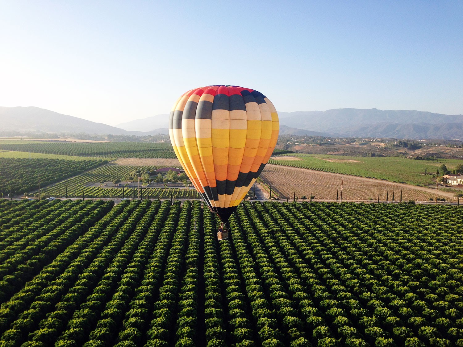 Why California Wine Month is a Must-Visit: Exclusive Deals and Experiences
