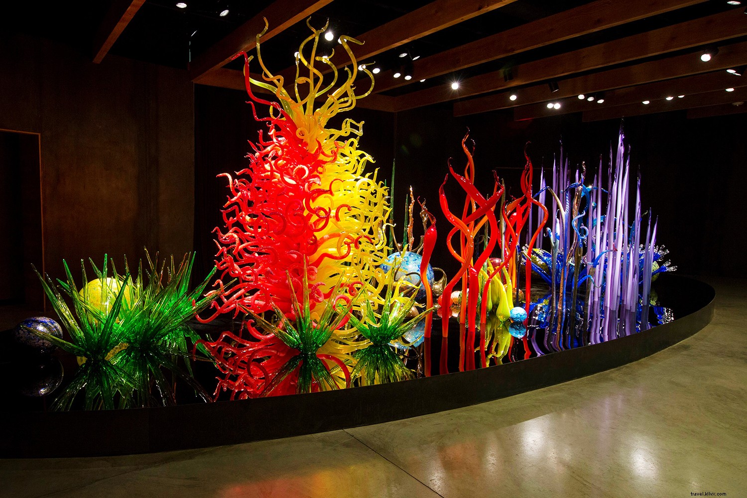 St. Pete/Clearwater Insider Secrets: Hidden Gems from Local Experts