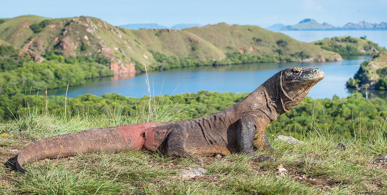 Explore Southeast Asia Like Early Discoverers: 10 Iconic Stops on a Star Clippers Tall Ship Cruise