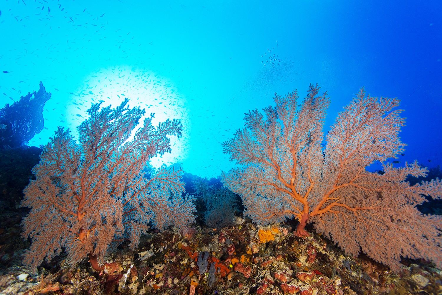 Explore Southeast Asia Like Early Discoverers: 10 Iconic Stops on a Star Clippers Tall Ship Cruise