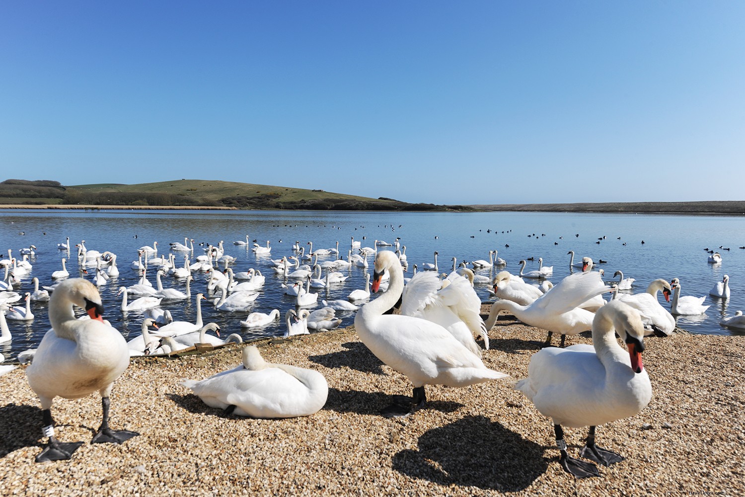 Luxury Last-Minute Northern Europe Cruise: Effortless Summer Escape with Regent Seven Seas